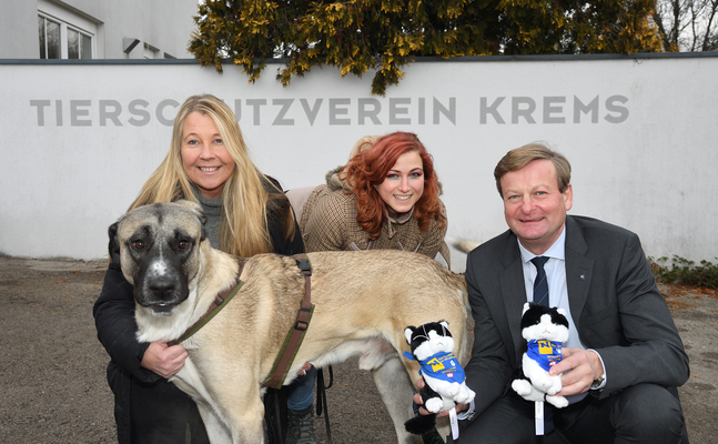 Tierschutzaktion ist erfolgreich angelaufen: Nina Zinn-Zinnenburg und Katrin Hofbauer vom Tierheim Krems, Landesrat Gottfried Waldhäusl